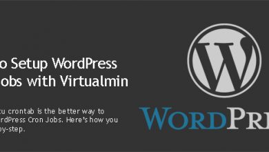 Set up WordPress Cron Jobs with Virtualmin
