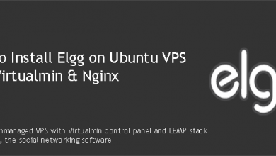 install Elgg on Ubuntu VPS with Virtualmin & nginx