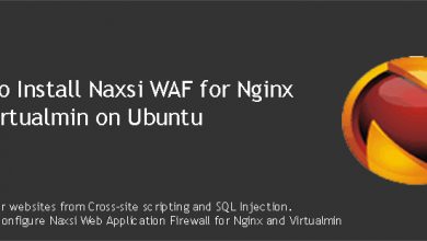 install Naxsi WAF for Nginx and Virtualmin