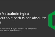 Photo of Fix Virtualmin Nginx error: Executable path is not absolute